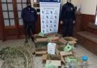 PARTE DE PRENSA POLICIAL
