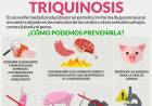 Llegó el invierno…época de carneadas: debemos prevenir la Triquinosis
