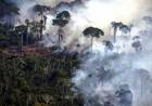 Brasil registró en octubre una deforestación récord de la selva amazónica
