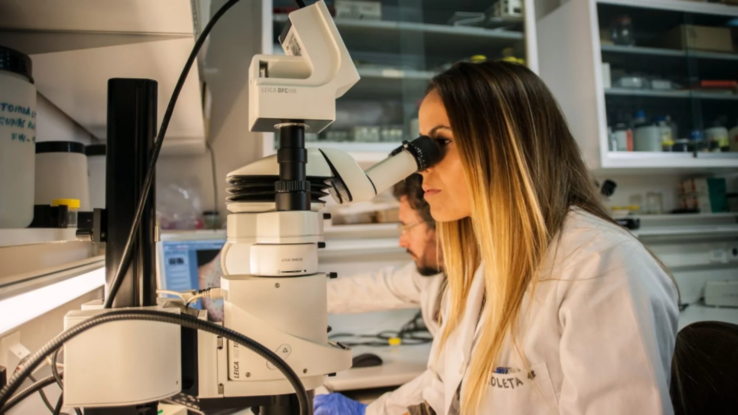 Un hallazgo clave para realizar el diagnóstico del cáncer de páncreas