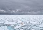 El Ártico perdió 770.000 kilómetros cuadrados de hielo, según la NASA