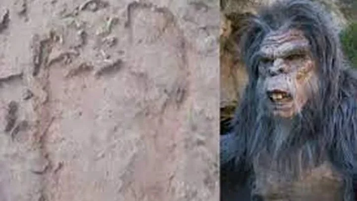 Pánico y misterio por la aparición de un “Ucumar” en Salta: es enorme, parece un gorila y tiene ojos rojos