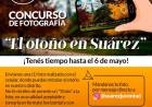 Concurso de fotografía con celular: “El otoño en Suárez”