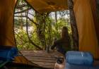 Parque Nacional El Impenetrable: Naturaleza pura con servicios que la tornan amigable