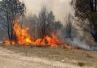 Jujuy declaró la emergencia ígnea y triplicó las multas por causar incendios