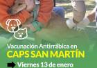 Viernes 13, vacunación antirrábica en CAPS de Barrio San Martín