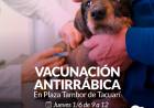Campaña de vacunación antirrábica en la Plaza Tambor de Tacuarí