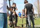 Ambiente-FCE-Interact: ”Forestamos” con la activa participación de jóvenes