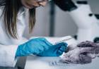 Se aprobó la creación del Centro de Investigaciones Forenses en la UNS