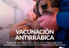 Campañas de vacunación antirrábica en Pueblo San José y en Coronel Suárez