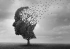 El viagra podría reducir el riesgo de Alzheimer, según un estudio