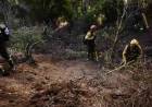 Incendio en parque Los Alerces: tras 27 días de lucha lograron controlar el fuego