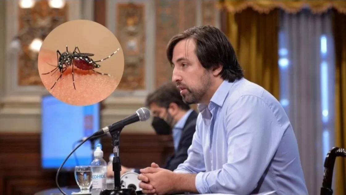 Alerta por el brote de dengue en Provincia: los mosquitos que lo transmiten circularían hasta abril