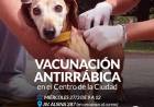 Campaña de vacunación antirrábica en el centro de la ciudad