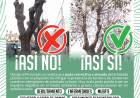 Cuidemos nuestro arbolado público y urbano