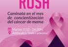 Todos caminamos contra el cáncer de mama