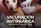 Campaña de Vacunación Antirrábica en Barrio Puente Chico