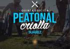 Vuelve la Peatonal Criolla: tradición, asado y cultura en el Paseo del Riel