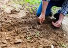 UNS: jornada abierta sobre conservación de suelos y cambio climático