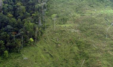 Escuela y medio ambiente