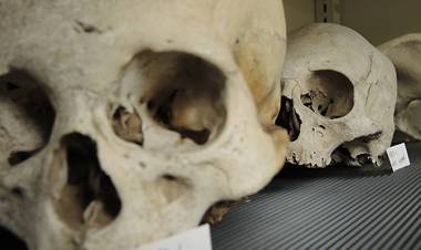 Efemerides.  Día del antropólogo