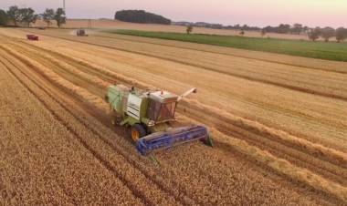 Crece la producción de maquinaria agrícola