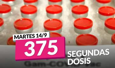 CONTINÚAN LLEGANDO SEGUNDAS DOSIS DE LA VACUNA CONTRA EL COVID-19 