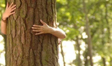 27 DE SETIEMBRE: DIA NACIONAL DE LA CONCIENCIA AMBIENTAL