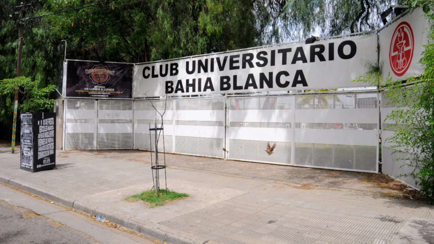 Denuncian por lesiones a patovicas del Club Universitario