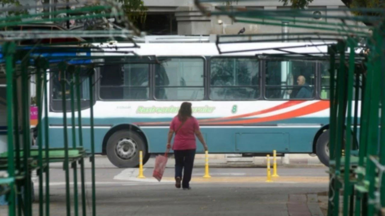 El transporte público será gratuito en Bahía Blanca este domingo de elecciones