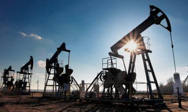 Retiraron más de 1.300 metros cúbicos del terreno afectado por el derrame de petróleo