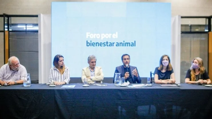 Ambiente comenzó el debate para garantizar el bienestar animal