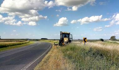 PREVENCIÓN DE INCENDIOS: mantenimiento de zona de camino en época estival