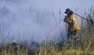 Corrientes, Río Negro y Misiones registran incendios forestales activos