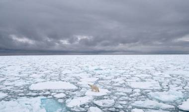 El Ártico perdió 770.000 kilómetros cuadrados de hielo, según la NASA