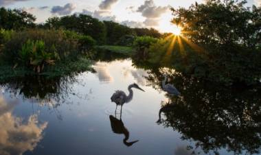 Hacia una tutela jurídica de los humedales argentinos