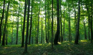 Lanzaron la consulta pública para la Estrategia de Acción para el Empoderamiento Climático
