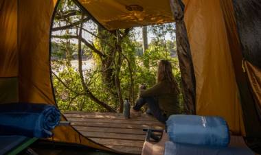 Parque Nacional El Impenetrable: Naturaleza pura con servicios que la tornan amigable