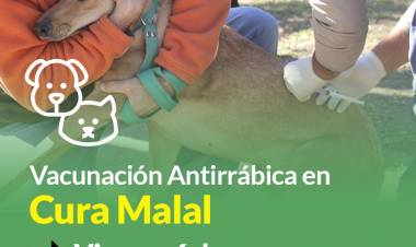 Campaña de vacunación antirrábica en Cura Malal