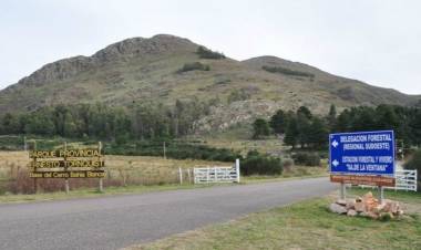 Un rayo provocó un incendio en el Parque Provincial Ernesto Tornquist