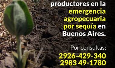 Se extendió la prórroga para la inscripción de productores en la emergencia agropecuaria por sequía en Buenos Aires