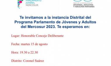 Instancia Distrital del Parlamento de Jóvenes y Adultos del Mercosur