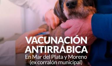 Campaña de vacunación antirrábica