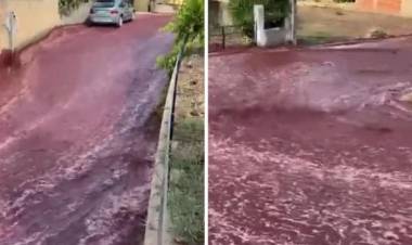 Ríos de vino en Portugal tras explosión de tanque