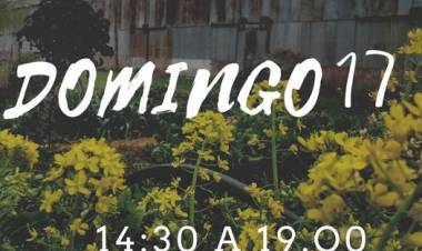 Nos vemos el domingo en el galpón