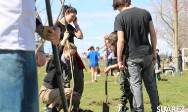 Ambiente-FCE-Interact: ”Forestamos” con la activa participación de jóvenes
