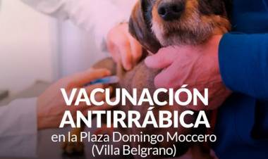 Campaña de vacunación antirrábica en Villa Belgrano