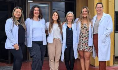 UNS: distinción para científica que investiga los procesos que afectan a las neuronas cuando dejan de funcionar