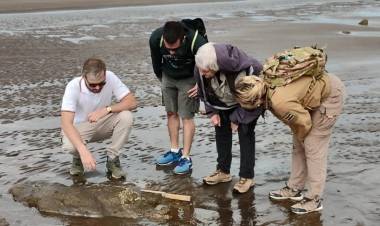 Estudiante de la UNS encontró restos de un perezoso de 25 mil años