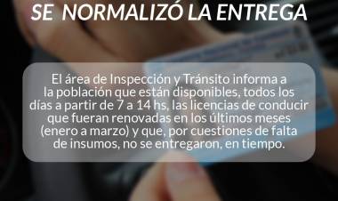 LICENCIAS DE CONDUCIR: Se normalizó la entrega